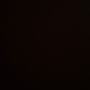 Meet your Posher, Leo